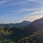 Leo Baird - @leo0bird - Instagram