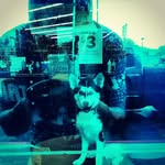 leo baker - @leo.webb.baker - Instagram