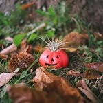 Leo Bates - @beataakaa - Instagram