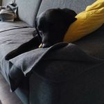 Leo Baumann - @baumannleo - Instagram