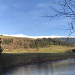 Leo Baumgartner - @leo_baumgartner_ - Instagram