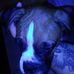 Leo Baumgartner - Facebook