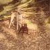 Leo Beatty - Facebook