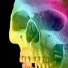 Leo Becker - @leo.becker44 - TikTok