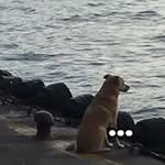 Leo Benavides - @elk.638145 - Instagram