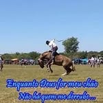 Léo Bender - @leobender1 - Instagram