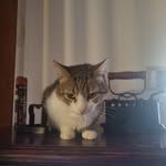 Léo Benoit - @leo.benoit496100 - Instagram