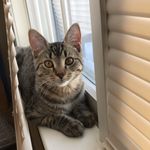 Leo - @leo_bilodeau_ - Instagram
