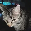 Leo BR - @leo.blair08 - TikTok