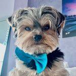 Leo Blake - @leoblake007 - Instagram