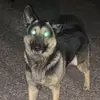 Leo Blanco - @leo.blanco3 - TikTok