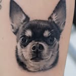 Leo Blanco | Tatuador | Pets - @leobtattoo - Instagram