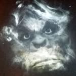 Leo Blevins - @leo60usa - Instagram