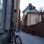 Leo Blüm - @jjaloysiusaugustine - Instagram