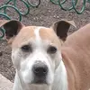 Leonboland - @leonboland - TikTok