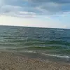 @Leobonilla9 - @userleone5 - TikTok