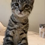 Bowie & Leo - @bowie_leoo - Instagram
