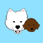 Leo & Bowie - @leo_bowie_dogs - Instagram