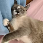 @leon.bowie - Instagram