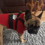 Leo Bowles - @bowles_leo - Instagram