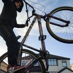 Leo Bradley cann - @leobradleycann - Instagram