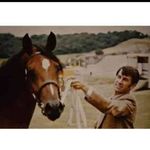 Looby Lou - @leobrandon1 - Instagram