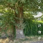 Leo Brannan - @leoba1.80 - Instagram