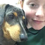 Leo-Salazar-Bruner - @leo_the__dachshund - Instagram
