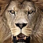 Leon Burrell - @leon.burrell.77 - Instagram