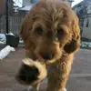 Leo 💛 - @leo.cabrera_ - TikTok