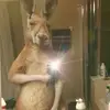 Leo Campuzano - @leo.campuzano0 - TikTok