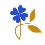 Leo Cardenas - @lcflowers_ - Instagram