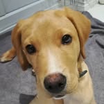 Leo Carey - @leo_carey19 - Instagram
