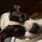 Riley leo james carnahan - @leo._james._1 - Instagram
