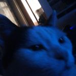 Leo Carpenter - @leo_carpenter488 - Instagram