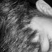 Leo Castañeda - Facebook