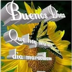 Leo Cevallos - @leo.cevallos.5203 - Instagram