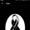 Leo Cevallos - @leocevallos3 - TikTok