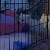 Leo Cha - @le0tsab - TikTok