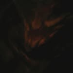 Leo_Conners - @leo_conners - Instagram