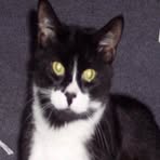 Leo Cotnoir - Facebook