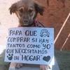 Leo Coto - @leo.coto6 - TikTok