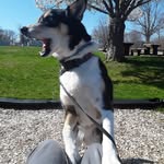 leo cotter - @lcotter42 - Instagram