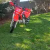 Leo Cotter - @leo.cotter6 - TikTok