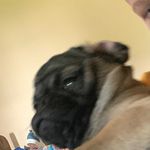 Leo Crainer - @leocrainer - Instagram