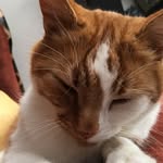 leo crosby - @__leo._.crosby__ - Instagram