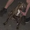 Leonard Crouch - @leonard.crouch6 - TikTok