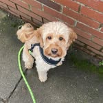 Leo crump - @crump_leo - Instagram