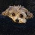 Leonie Crump - Facebook