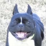 @leo.culver - Instagram